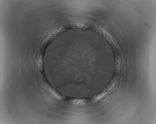 X0000112060465200908181202