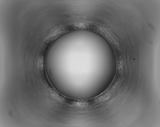 X0000112060466200908181202