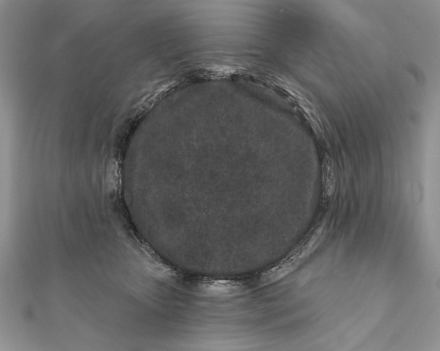 X0000112060467200908181202