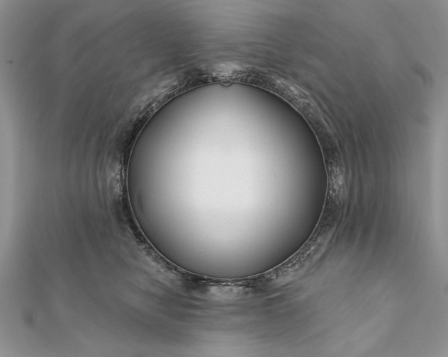 X0000112060470200908181202