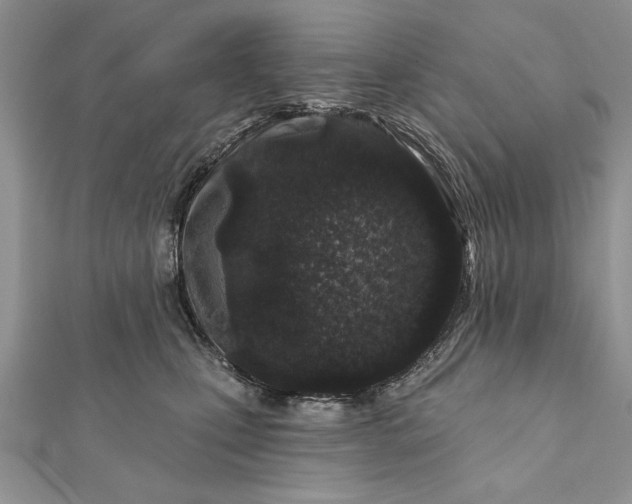 X0000112060471200908181202