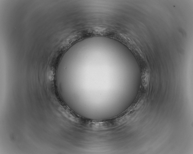 X0000112060472200908181202