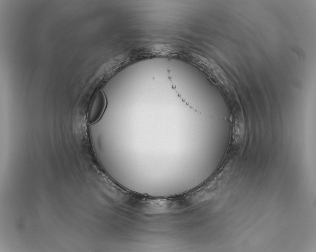 X0000112060473200908181202