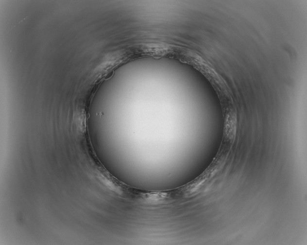 X0000112060474200908181202