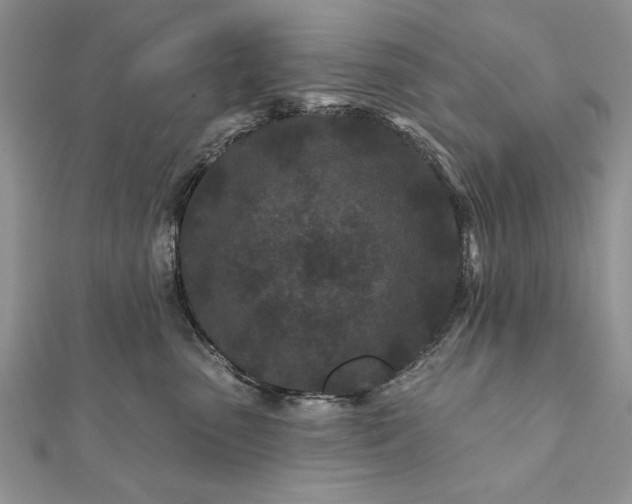 X0000112060475200908181202