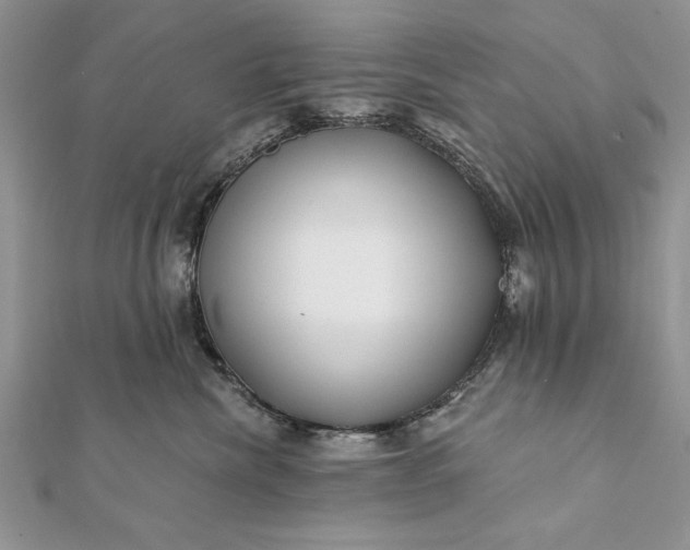 X0000112060476200908181202