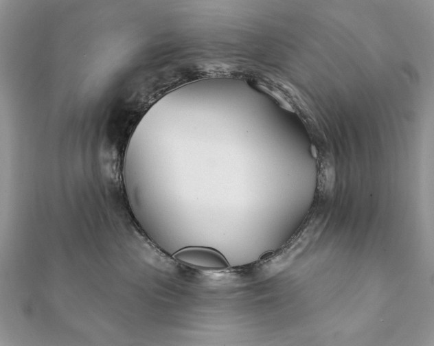 X0000112060477200908181202