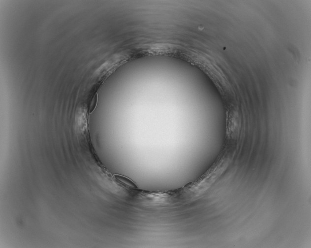 X0000112060478200908181202