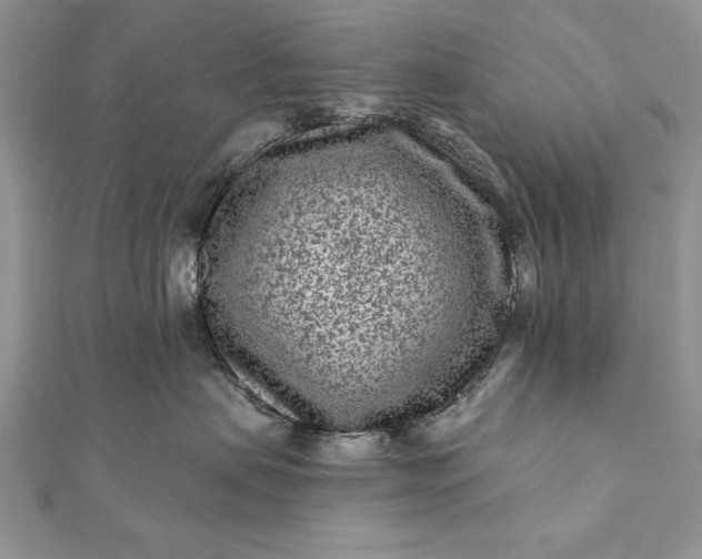 X0000112060479200908181202