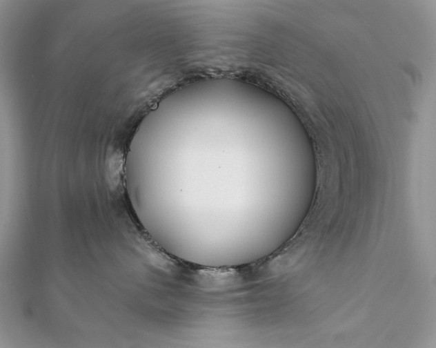 X0000112060480200908181202