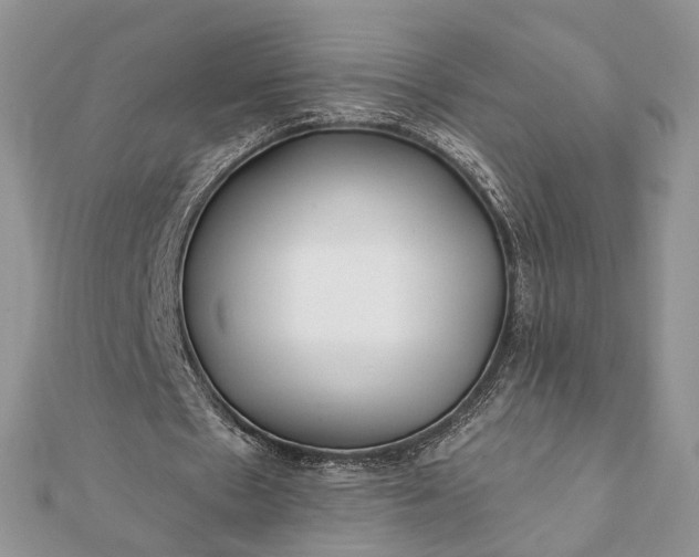 X0000112060481200908181201