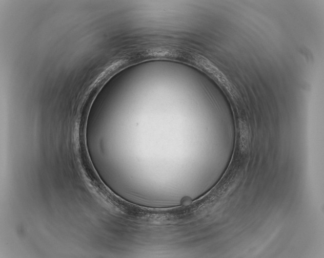 X0000112060482200908181201