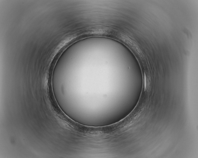 X0000112060483200908181201