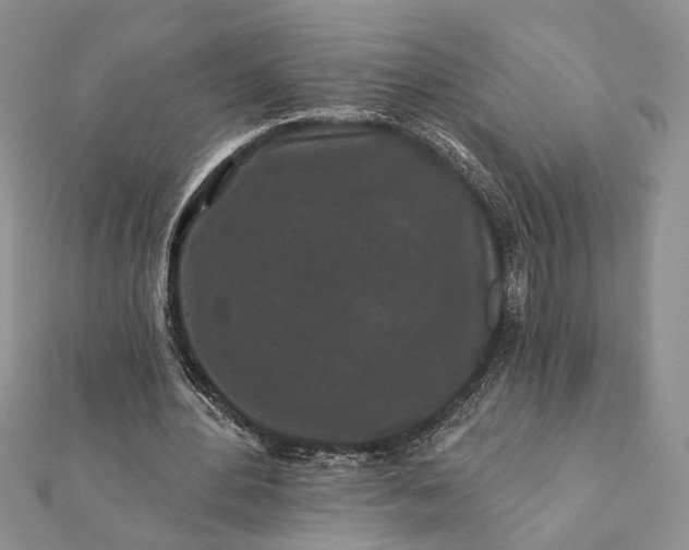 X0000112060484200908181201