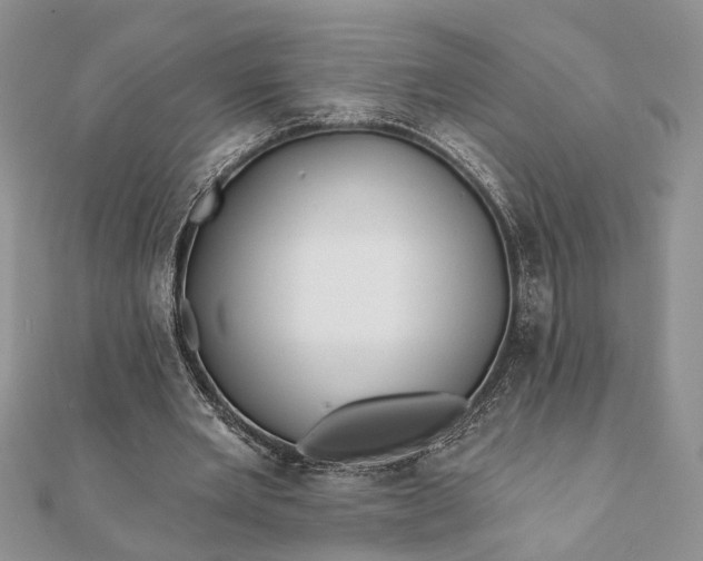 X0000112060485200908181201