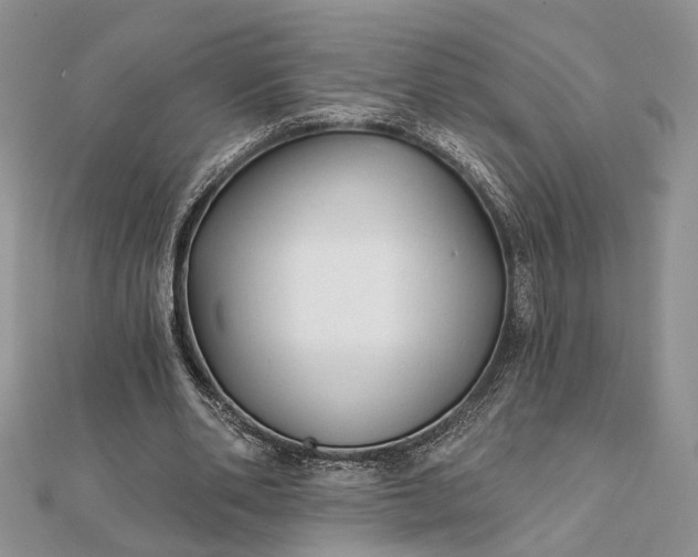 X0000112060486200908181201