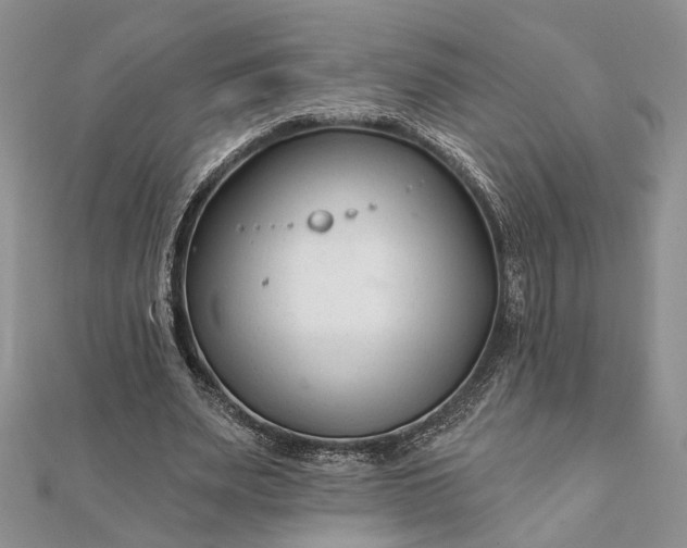 X0000112060487200908181201