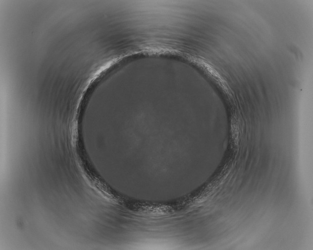 X0000112060488200908181201