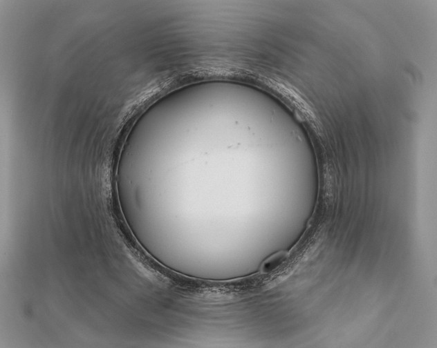 X0000112060489200908181201