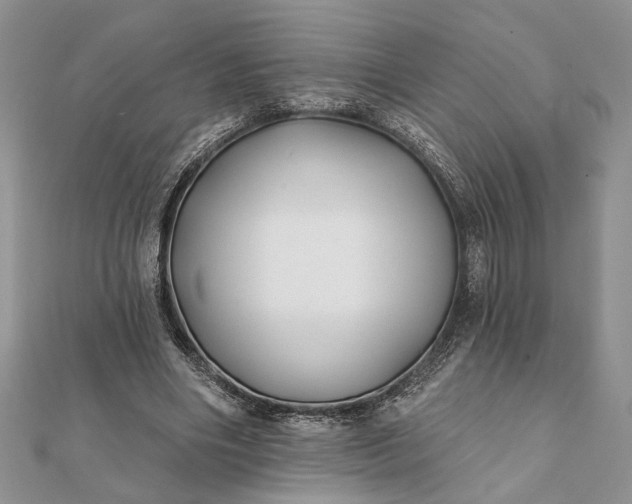 X0000112060490200908181201