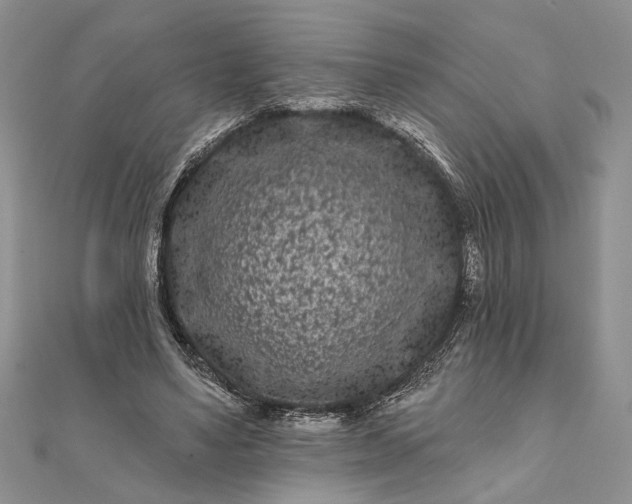 X0000112060491200908181201