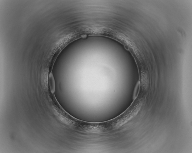 X0000112060493200908181201