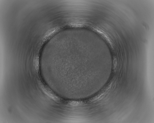 X0000112060494200908181201