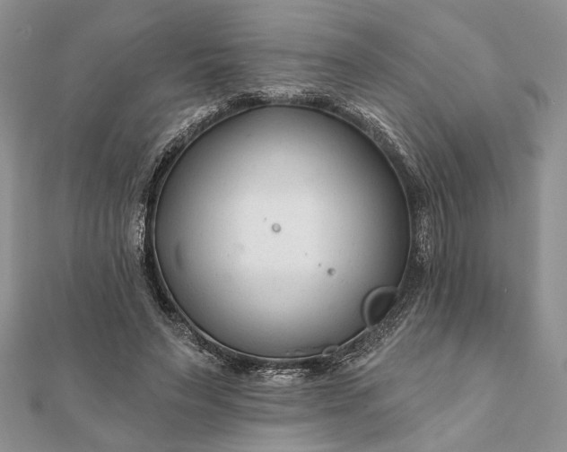 X0000112060495200908181201