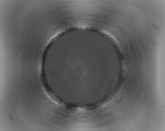 X0000112060496200908181201