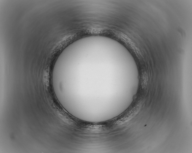 X0000112060497200908181201