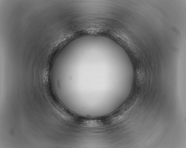 X0000112060499200908181201