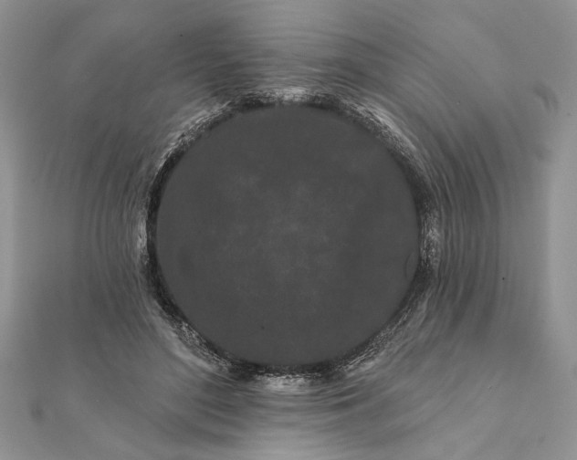 X0000112060500200908181201