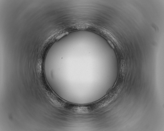 X0000112060501200908181201