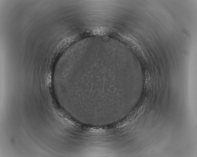 X0000112060502200908181201