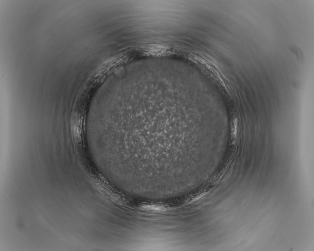 X0000112060503200908181201