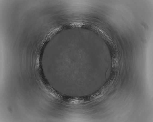 X0000112060504200908181201