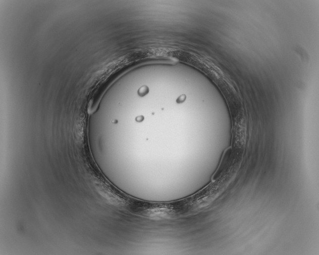 X0000112060505200908181201