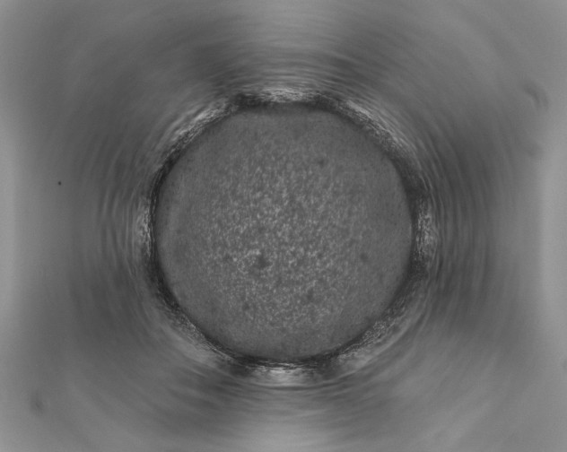 X0000112060506200908181201