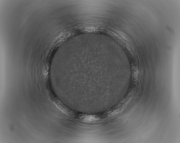 X0000112060507200908181201