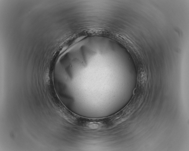 X0000112060508200908181201