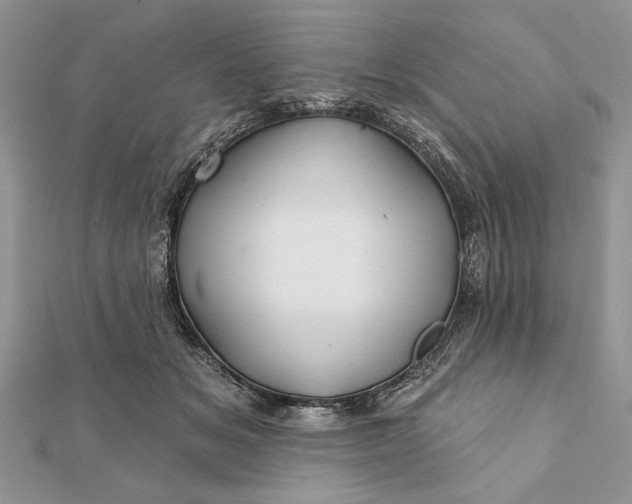 X0000112060509200908181201