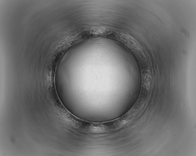 X0000112060510200908181201