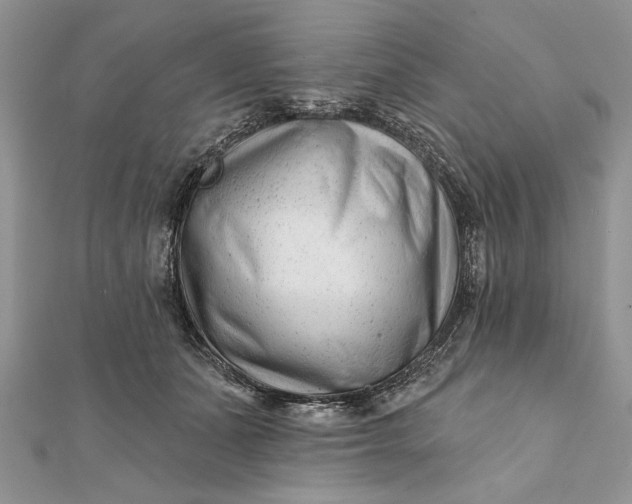 X0000112060511200908181201