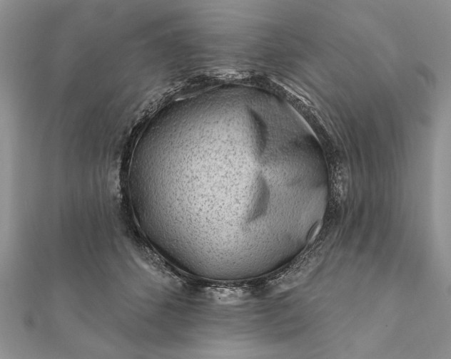 X0000112060512200908181201