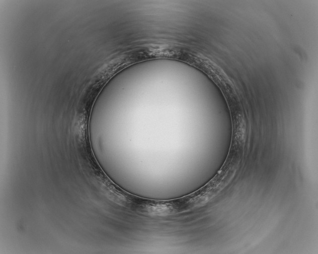 X0000112060513200908181201