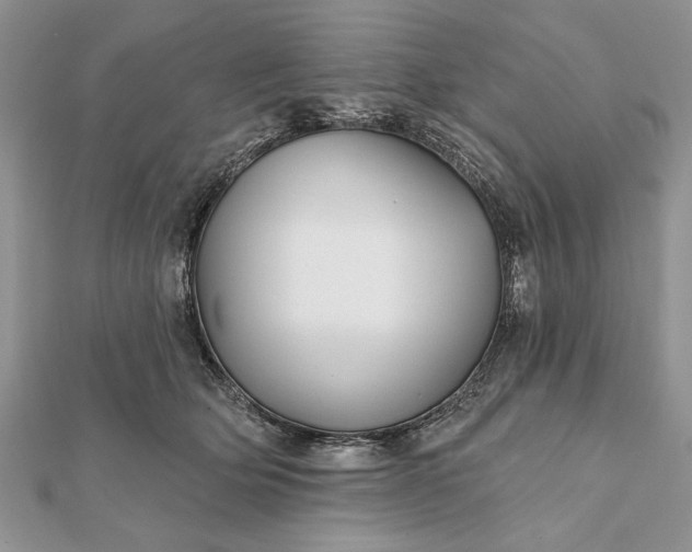 X0000112060514200908181201