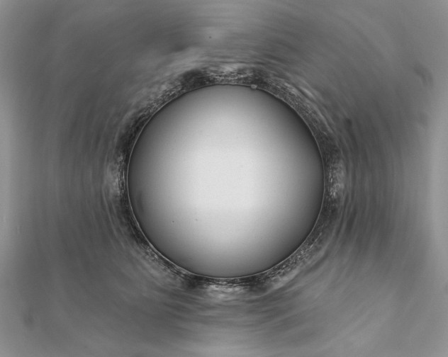 X0000112060515200908181201