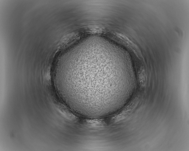 X0000112060516200908181201