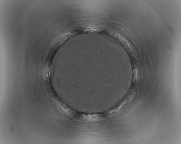 X0000112060517200908181201