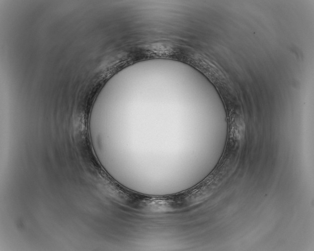 X0000112060518200908181201